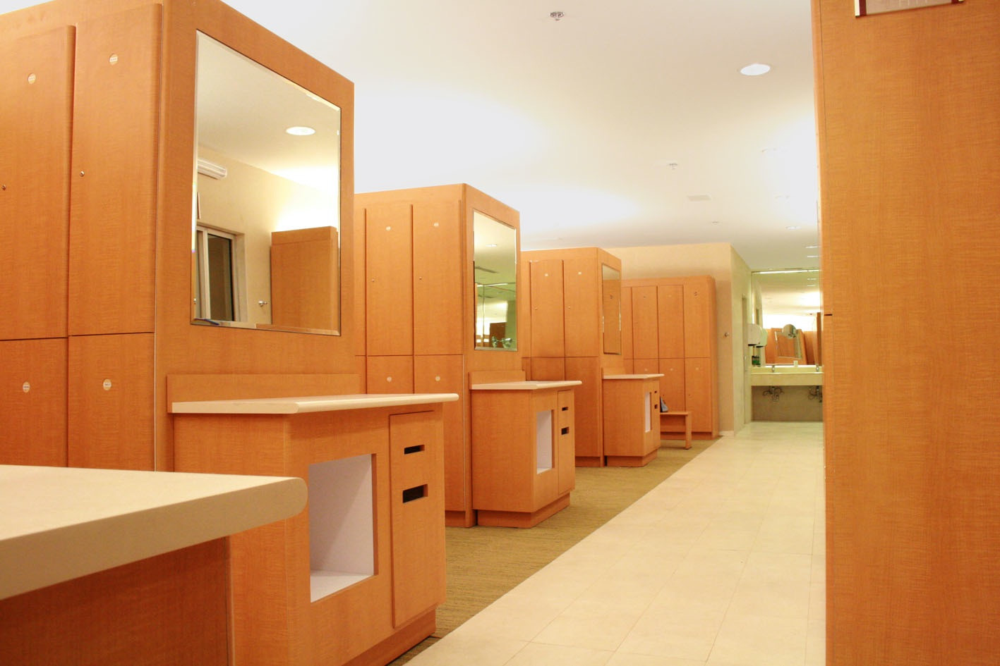 Foto de la Categoría Sistema Guardado