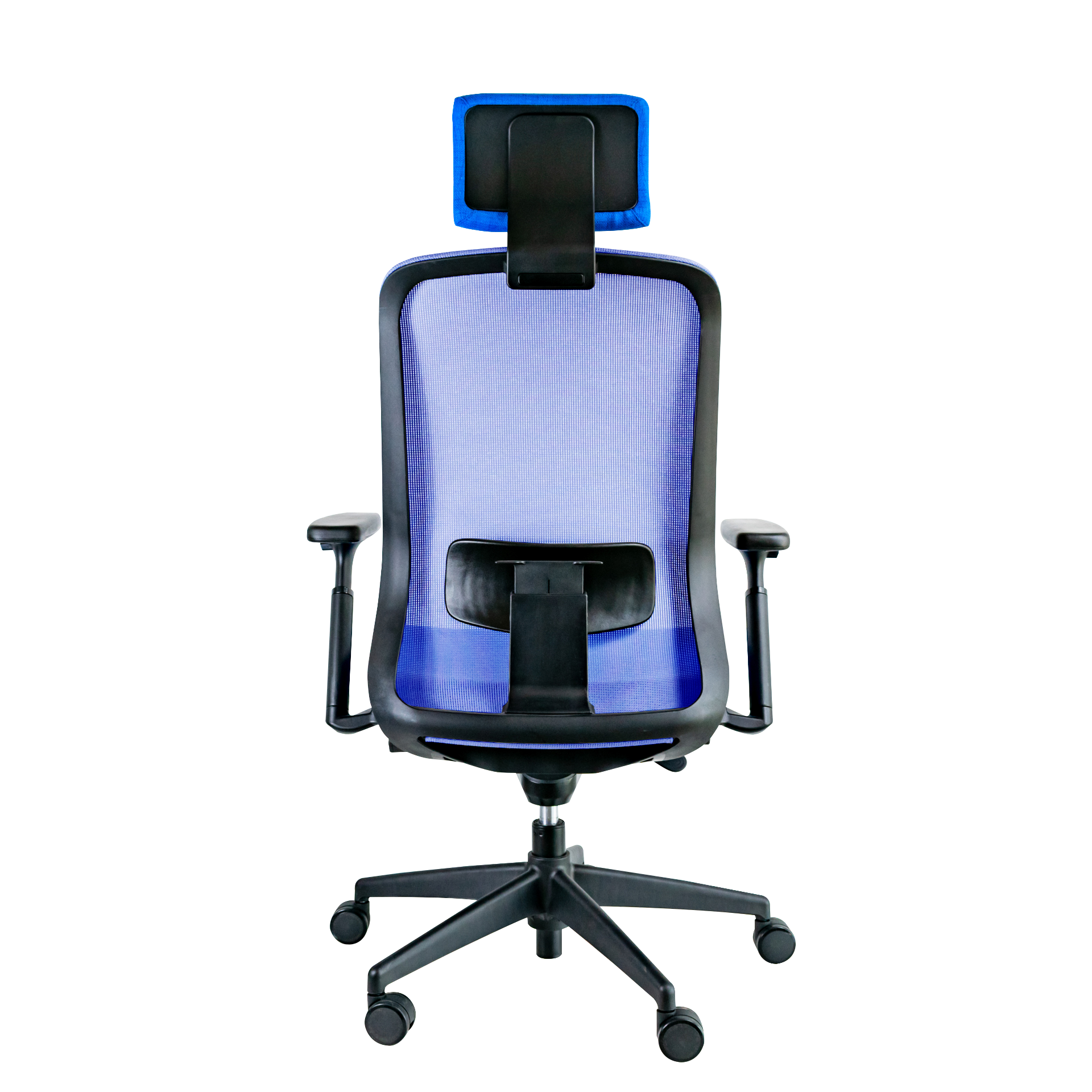 Galería de Trev-1600