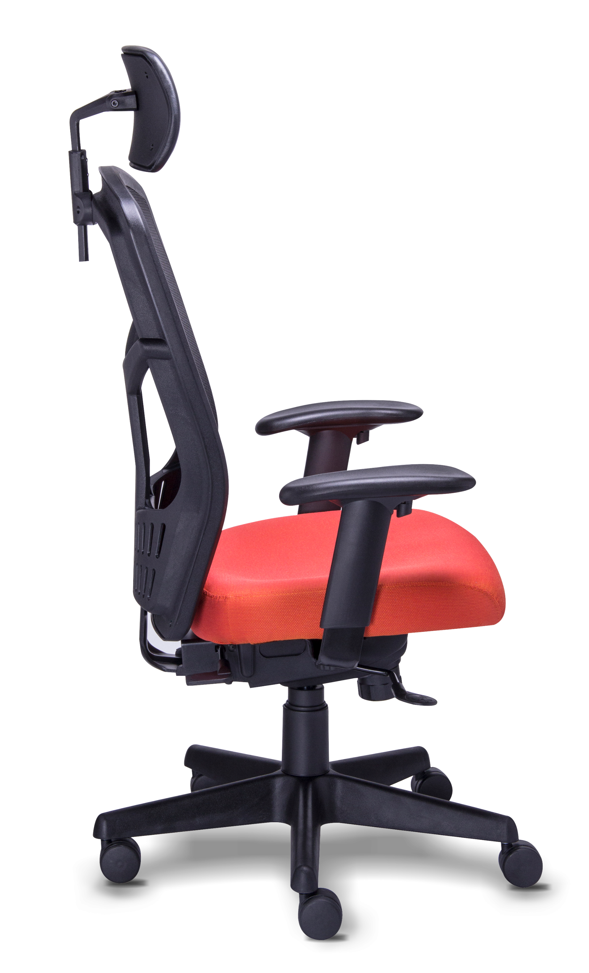 Galería de TREV-1950