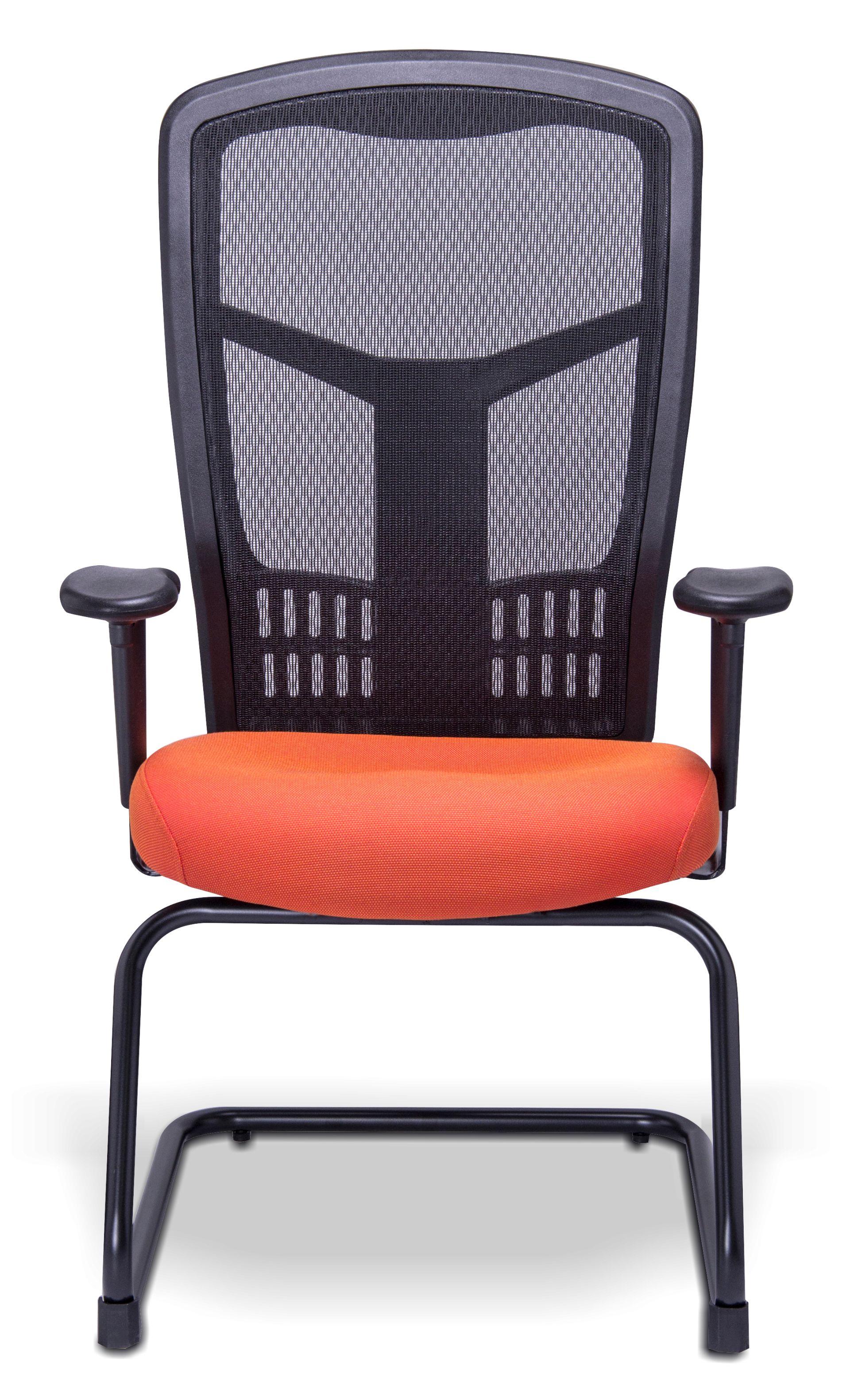 Galería de TREV-1955